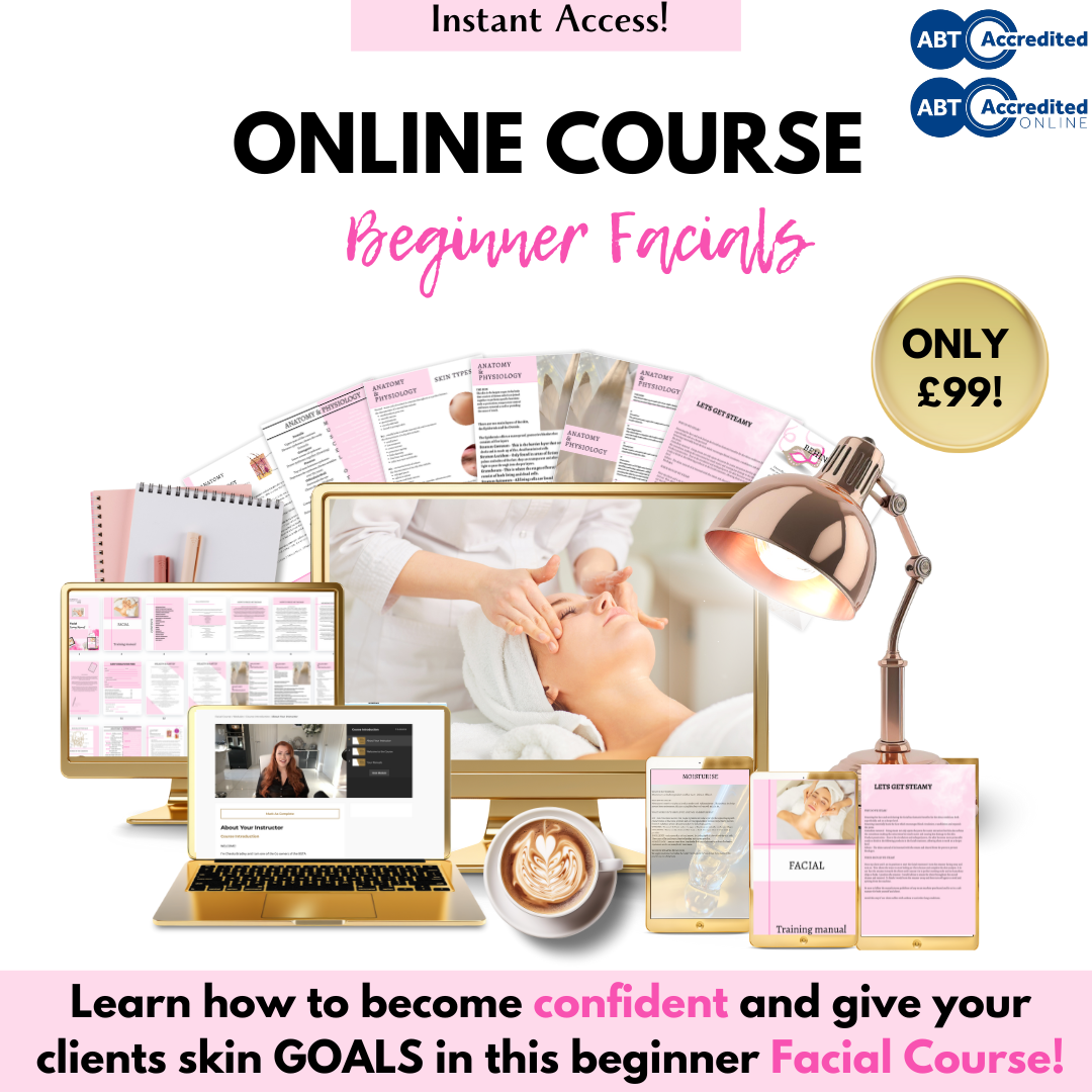 Beginner Facial Course